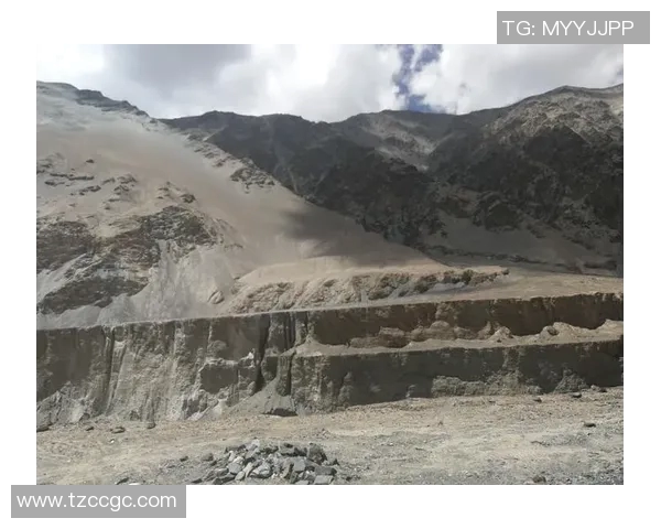 王娜分享和平精英职业生涯的成长与挑战之路实时数据