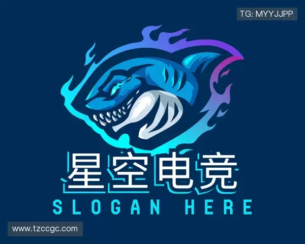 解读星空电竞